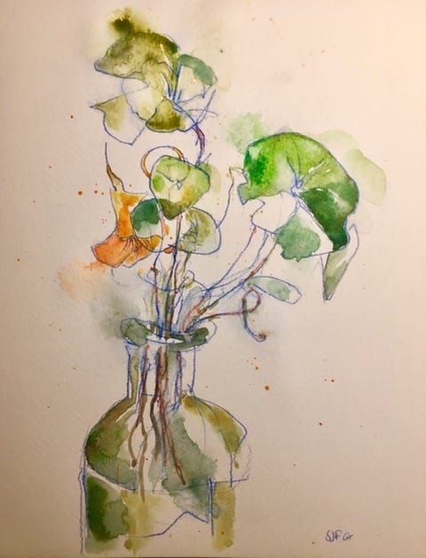 Flowers in Watercolour and Coloured w/s Pencil - Inspired by Charles Rennie Mackintosh (One Day Workshop)