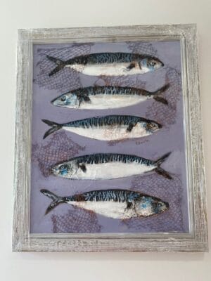 Netted Mackerel