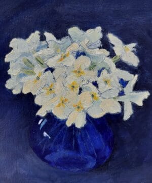 Primroses