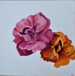 Roses From My Garden